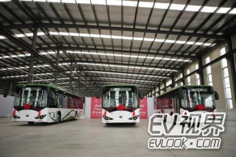 绿色公交入塞上江南 银川携比亚迪打造新型示范城市