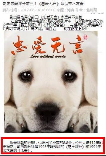 别吹捧《忠爱无言》是中国影史第三！比《忠犬八公》差得远