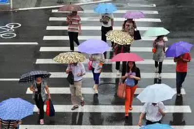 雨天行车锦囊，关键时刻能救命！