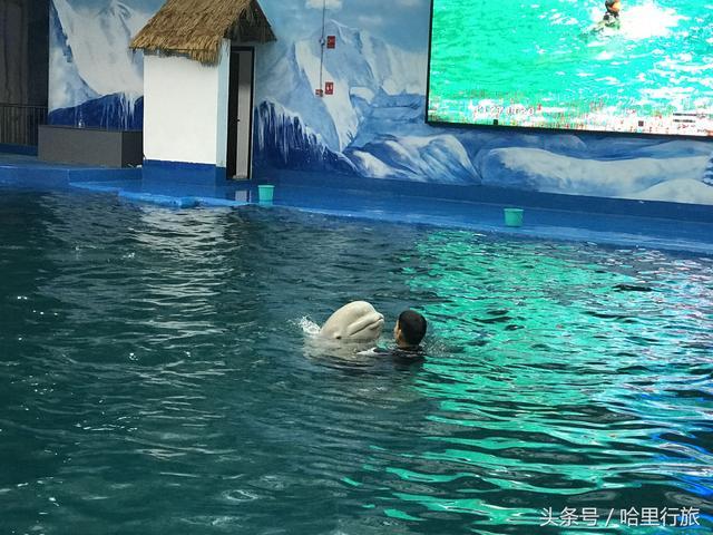 阅云南夏日旅行记第一站：石林冰雪海洋世界