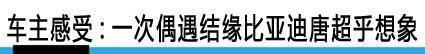 开了唐再不想开沃尔沃 比亚迪王朝系列很“不一样”