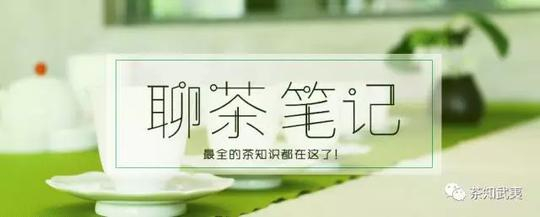 平地式、梯田式、盆栽式，你了解这些武夷茶园吗？