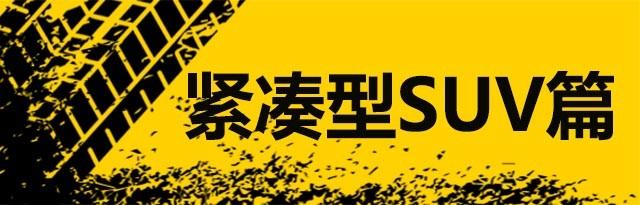 透过现象看本质 中国品牌车型轮胎调查