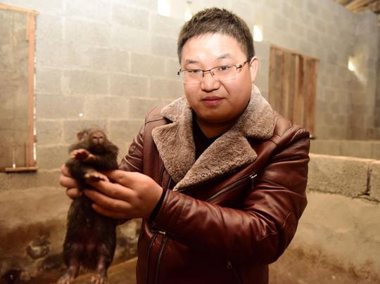 80后小伙子大山养豪猪能挣钱？居然一年卖了200万！