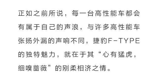 万万没想到！世上居然有车的排气声浪比交响乐还震撼