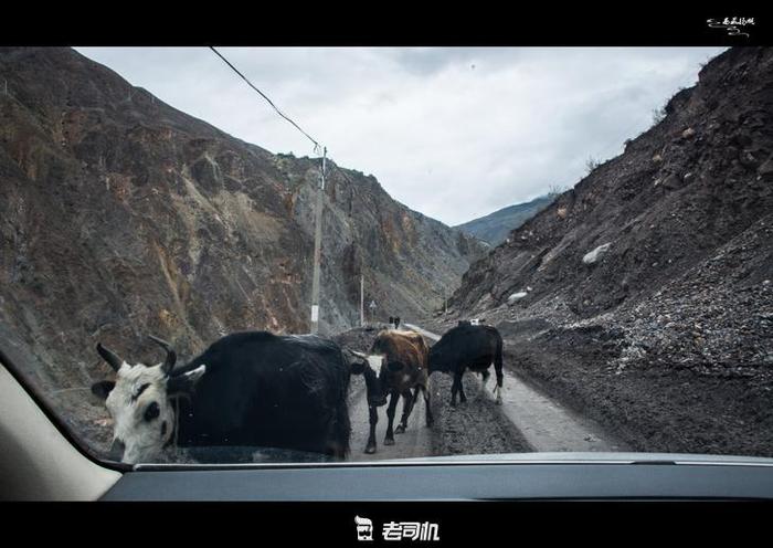 神的孩子都要去西藏，大学生毕业旅行自驾进藏游记