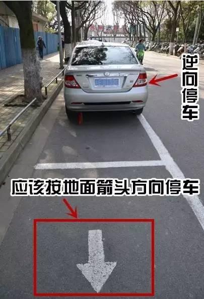 停车位停车都能被罚款，这样停车容易中招！