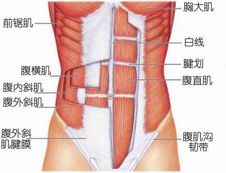 没有这些装备，八块腹肌撩妹套路你怎么探？！