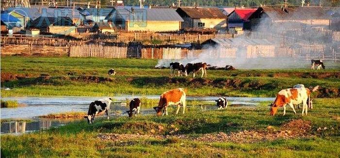 它是中国唯一的俄罗斯民族乡，美的像童话世界！