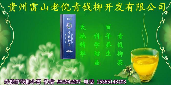 老倪青钱柳茶流传几千年的中医茶疗养生法