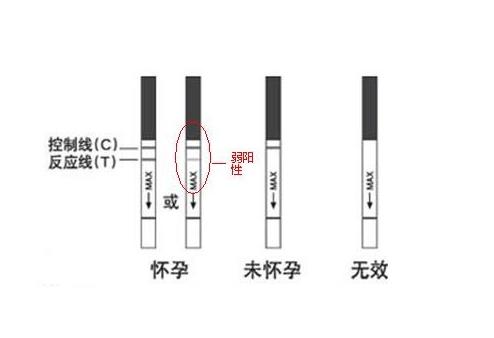 早孕试纸一条水印，是怀孕了吗？