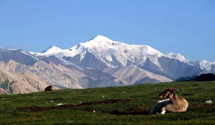 盘点中国藏区八大圣山，其中一座禁止攀登！