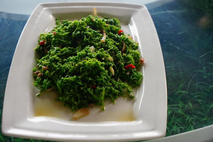 云南普洱体验特色“茶菜宴”  感受“舌尖上的美味”