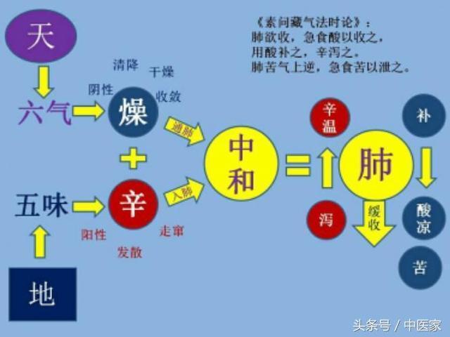 探寻《黄帝内经》中药和食疗的运用机理