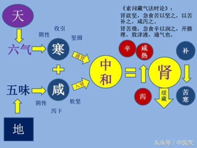 探寻《黄帝内经》中药和食疗的运用机理