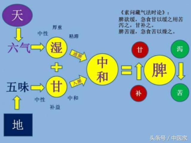 探寻《黄帝内经》中药和食疗的运用机理