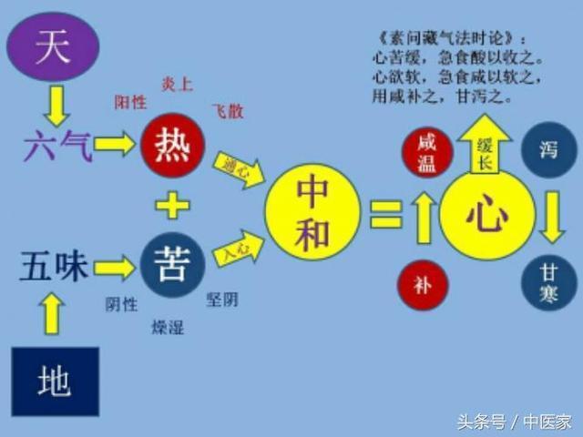 探寻《黄帝内经》中药和食疗的运用机理