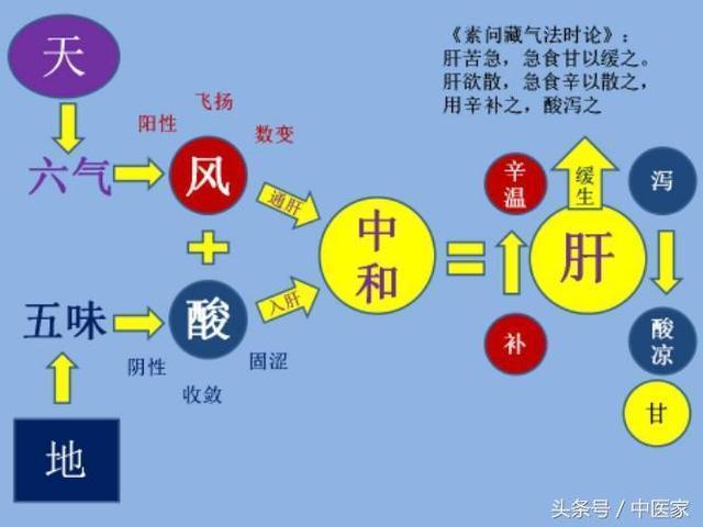 探寻《黄帝内经》中药和食疗的运用机理