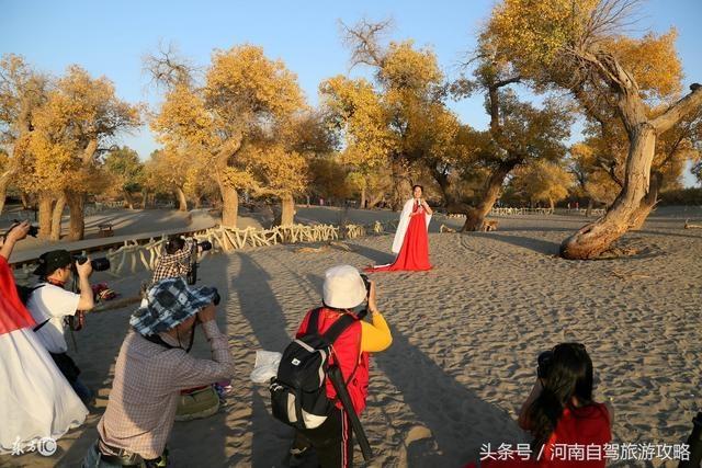 郑州自驾去额济纳看胡杨林的黄金线路，10月出发的车友提前收藏