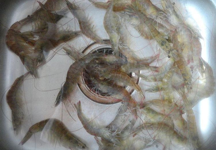 把虾到进热盐里，10分钟后就能挖出来吃了，你吃过没