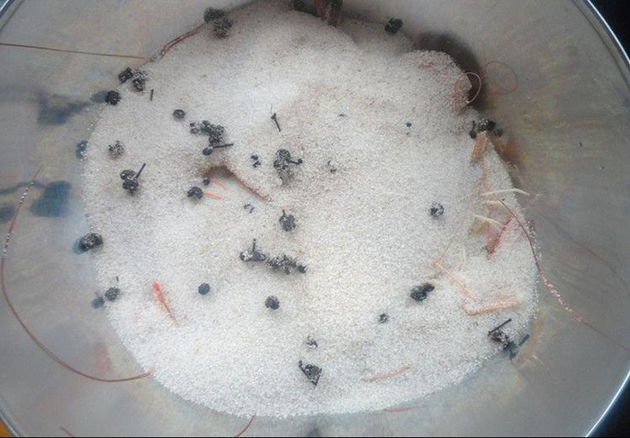 把虾到进热盐里，10分钟后就能挖出来吃了，你吃过没