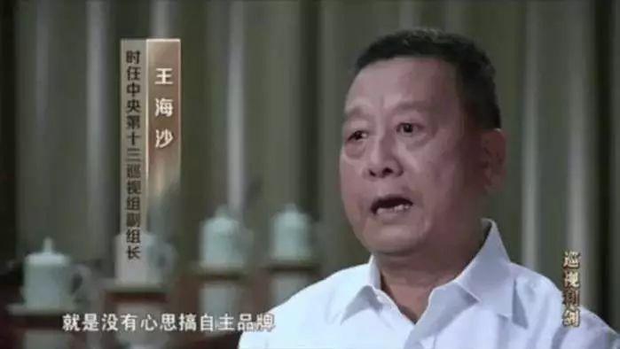 徐建一被抓后，红旗品牌就迎来复兴的曙光？