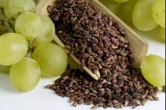 【抗氧化秘笈】都说吃葡萄不吐葡萄皮，那葡萄籽呢？