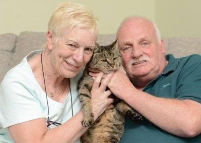 英国最老虎斑猫逝世 终年32岁，相当于人类144岁