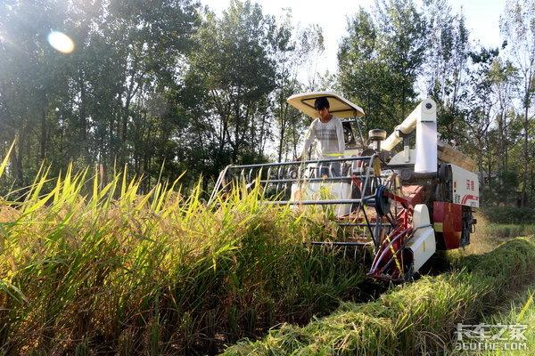 又到秋收时节，解放虎V轻卡拉着收割机全国跑