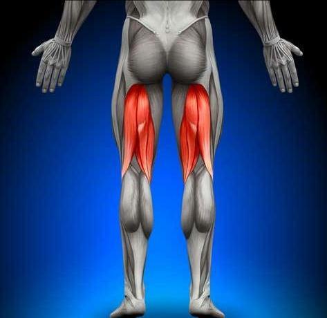 强化好大腿后侧肌群和臀部才是运动王道 6个动作深度强化臀腿力量