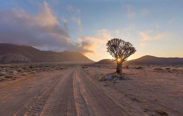 半沙半海·黑暗星空下的狂野热土—纳米比亚野奢行摄14日自驾之旅