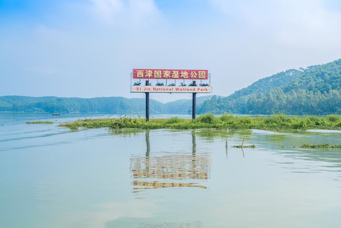 因为建水电站而形成的南方最大内河湖，就在广西横县