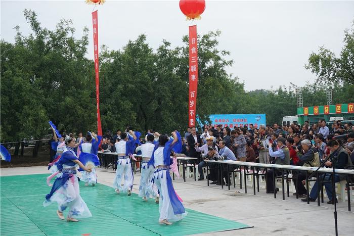 相约中国航空城 畅游千年相枣林—阎良全域旅游新引擎