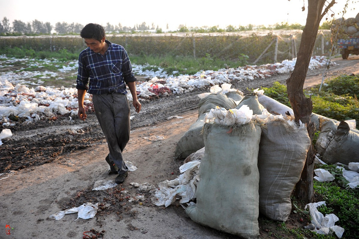 成堆葡萄套袋被弃路边，拾荒男：一斤1毛钱