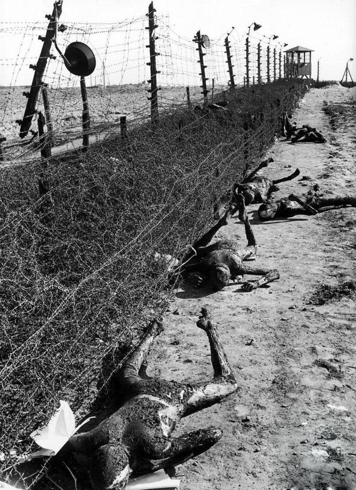 二战纳粹集中营老照片: 鬼知道他们经历了什么!