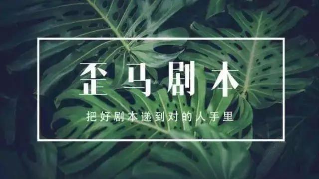 我们和编剧背后的操盘手聊了聊：最好的剧本都是这么找到的？