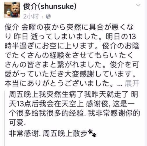 网红博美俊介昨日去世，有多少人用过它的表情包