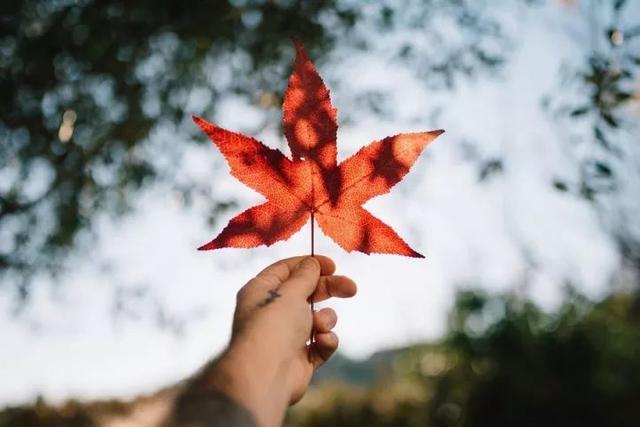 爱到深入骨髓