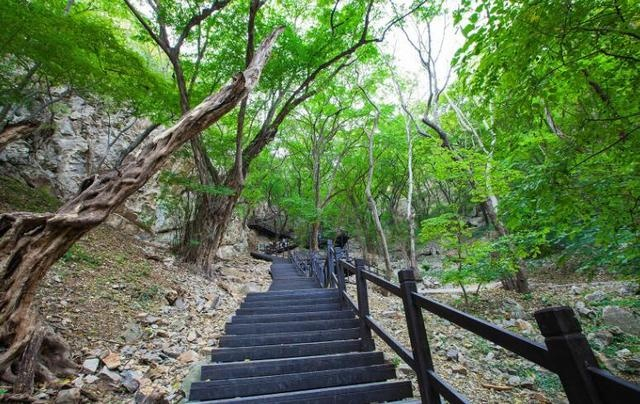 美爆了 宿州最值得一去的五个4A级旅游景点