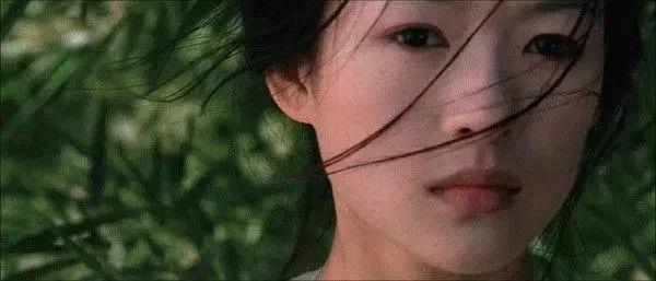 一步步蜕变成《卧虎藏龙》里的玉娇龙