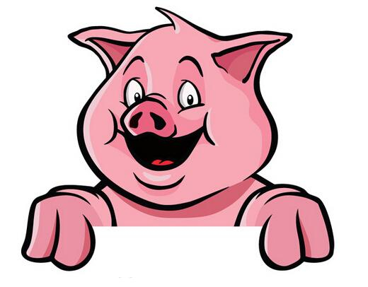 进入2018年，这个年份出生的属猪人“偏财”横行，财权双收