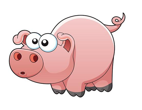 进入2018年，这个年份出生的属猪人“偏财”横行，财权双收