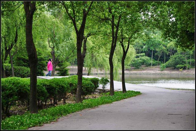 周末逃离城市喧嚣！盘点上海最美丽的8大森林公园