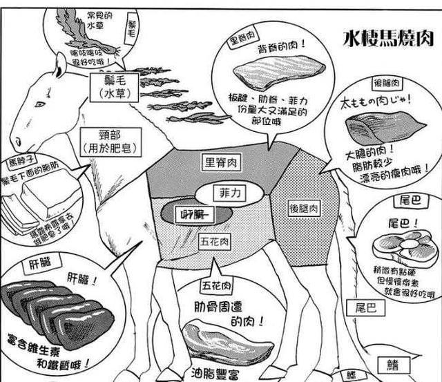 大饱眼福！除了《中华小当家》，还有哪些正统的美食漫画？