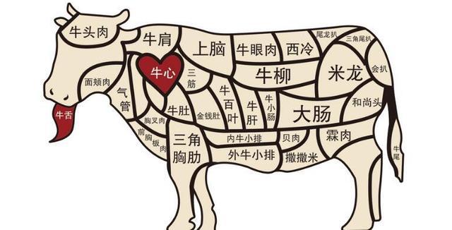 最全面的牛肉20个部位完整图解并教做法，真正的让您开眼界长知识