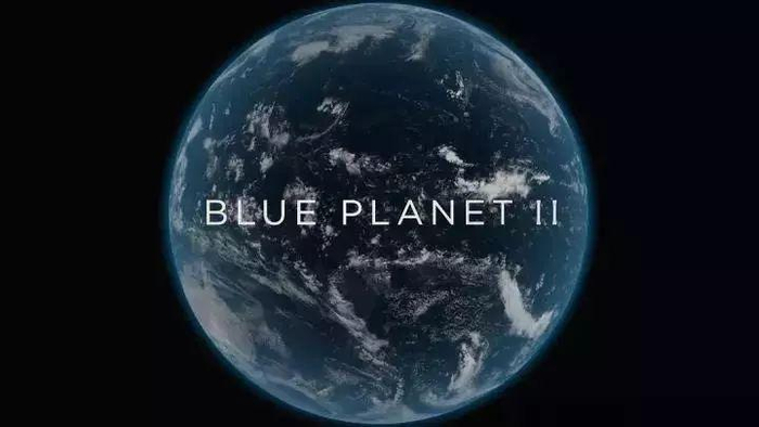 蓝色星球2纪录片下载：高清画质与流畅体验的选择 (蓝色星球2纪录片免费观看)