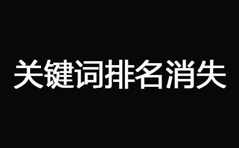 网站被K之后快速恢复技巧