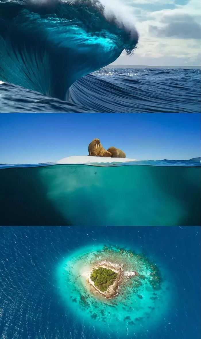 豆瓣9.9分！美得灵魂出窍的神片！|_新浪娱乐_新浪新闻