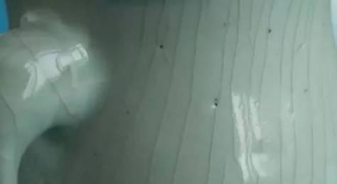 非常实用的古陶瓷文化行话之—瓷器缺陷