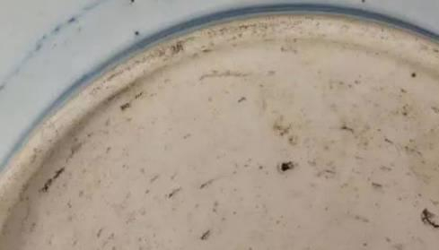 非常实用的古陶瓷文化行话之—瓷器缺陷